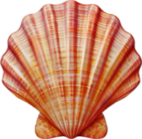 AI generated Vibrant Striped Seashell png