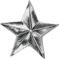 AI generated Monochrome Sketch of Starfish png