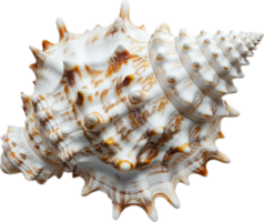 AI generated Vibrant Striped Seashell png