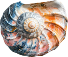 AI generated Vibrant Striped Seashell png