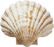 AI generated Vibrant Striped Seashell png