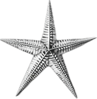 AI generated Monochrome Sketch of Starfish png