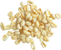 AI generated Pile of Wheat Grains png