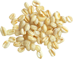 ai generato mucchio di Grano cereali png