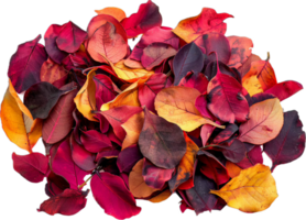 AI generated Vibrant Autumn Leaves Pile png