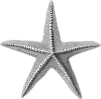 AI generated Monochrome Sketch of Starfish png