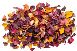 AI generated Vibrant Autumn Leaves Pile png