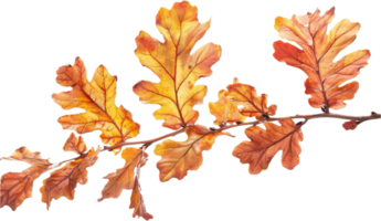 ai generado otoño roble hojas rama png