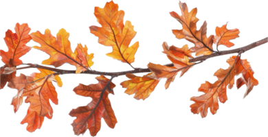 AI generated Autumn Oak Leaves Branch png