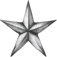 AI generated Monochrome Sketch of Starfish png