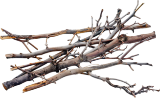 AI generated Tangled Dry Tree Branches png