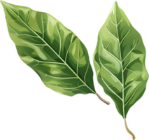 AI generated Fresh Green Bay Leaves png