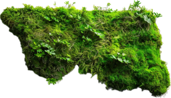 AI generated Moss-Covered Rocks and Vegetation png