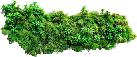 AI generated Moss-Covered Rocks and Vegetation png