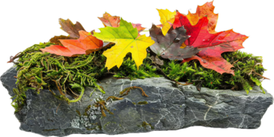 AI generated Autumn Leaves on Mossy Rocks png