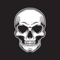 Skull art black and white hand drawn illustrations vector