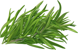 AI generated Fresh Rosemary Sprigs png