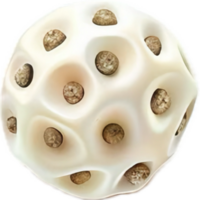 AI generated Lotus Seed Pod png