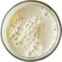 AI generated Close-Up of Beer Foam in Glass Top View png