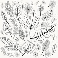 Simplicity autumn leaf freehand drawing flat design. vector