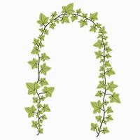 Floral ivy drawing decorative ornament flat design. vector