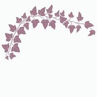 Floral ivy drawing decorative ornament flat design. vector