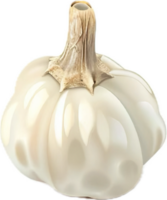 AI generated Single Garlic Bulb Close-Up png