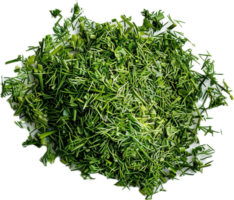 AI generated Fresh Dill Herb png