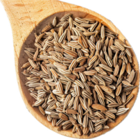 ai généré séché cumin des graines dans en bois cuillère png