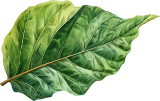 AI generated Lush Green Tropical Foliage png