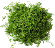AI generated Fresh Dill Herb png