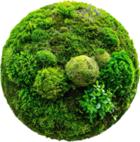 AI generated Lush Green Moss with Clover Leaves png