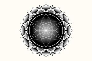 sagrado loto yantra mándala, místico flor de vida. sagrado geometría, vector logo gráfico elemento aislado. místico icono semilla de vida, geométrico dibujo firmar, esotérico loto flor en blanco antecedentes