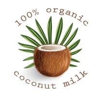 Organic cococnut milk vector banner or sticker