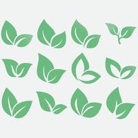 Collection of leaf logos vector