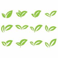 Collection of leaf logos vector