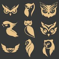 collection of owl vector