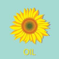 Vector illustration of sunflower flower head top view and oil lettering