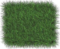 Green grass square on white background. vector