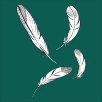 A drawing of three feathers on a green background. vector