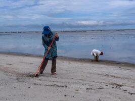 alguien quien es que lleva fuera basura limpieza ocupaciones alrededor el playa, verde tierra, costero limpiar día foto