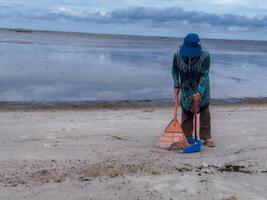 alguien quien es que lleva fuera basura limpieza ocupaciones alrededor el playa, verde tierra, costero limpiar día foto