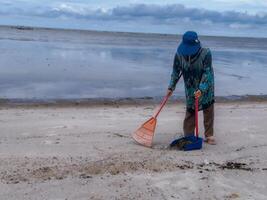 alguien quien es que lleva fuera basura limpieza ocupaciones alrededor el playa, verde tierra, costero limpiar día foto