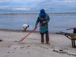 alguien quien es que lleva fuera basura limpieza ocupaciones alrededor el playa, verde tierra, costero limpiar día foto