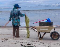 alguien quien es que lleva fuera basura limpieza ocupaciones alrededor el playa, verde tierra, costero limpiar día foto