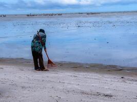 alguien quien es que lleva fuera basura limpieza ocupaciones alrededor el playa, verde tierra, costero limpiar día foto