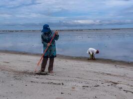 alguien quien es que lleva fuera basura limpieza ocupaciones alrededor el playa, verde tierra, costero limpiar día foto