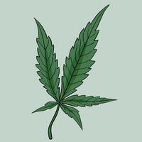 Simplicity cannabis leaf freehand drawing flat design. vector