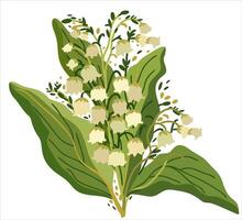 Lily of the valley. Vector isolated illustration