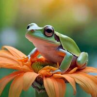 ai generado blanco australiano árbol rana sentado en un flor, fuertemente borroso antecedentes foto